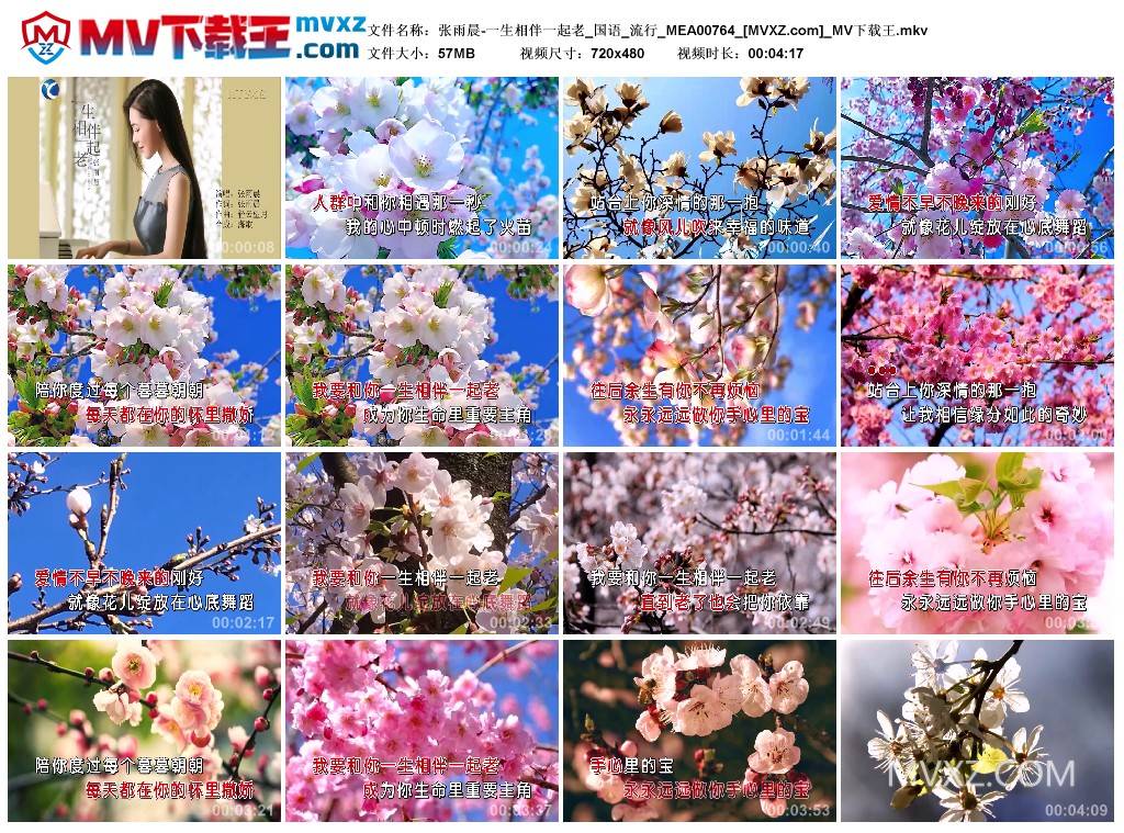 张雨晨-一生相伴一起老_国语_流行_MEA00764